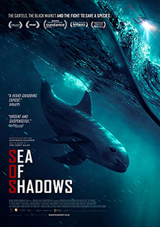 Sea of Shadows plakat