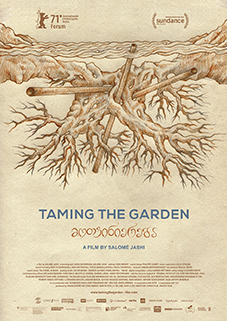 Taming the Garden - plakat